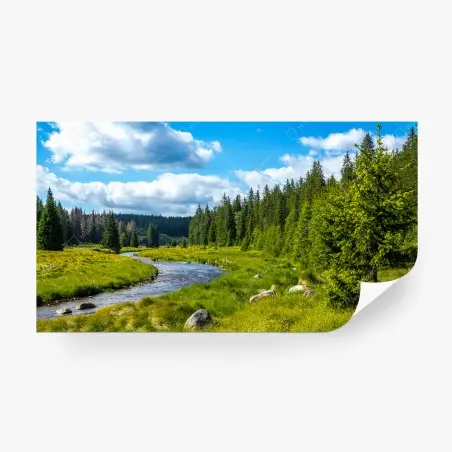 Wall mural serene riverside meadow • Wallissimo®
