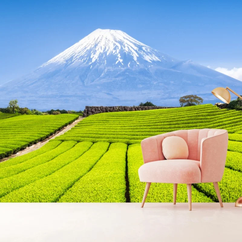 Wall mural lush tea fields beneath Mount Fuji