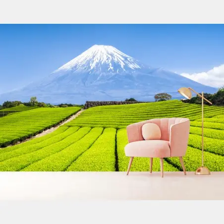 Wall mural lush tea fields beneath Mount Fuji • Wallissimo®