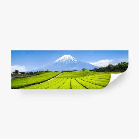 Wall mural lush tea fields beneath Mount Fuji • Wallissimo®