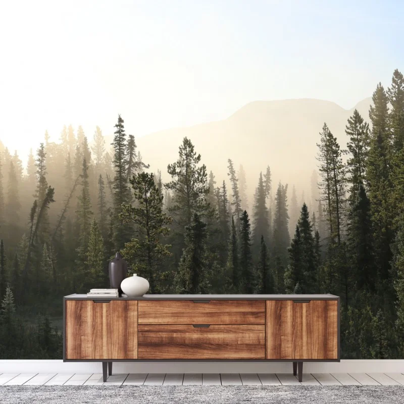 Wall mural misty pine forest at sunrise