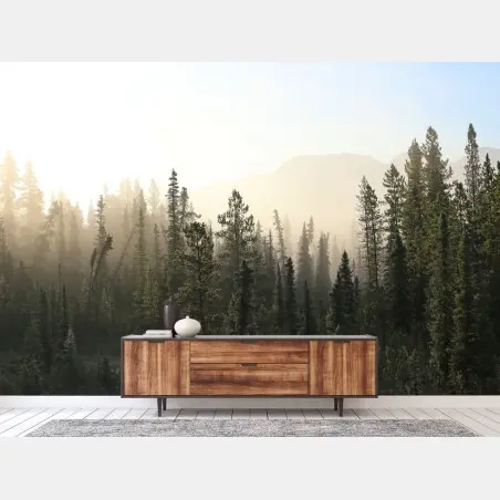 Wall mural misty pine forest at sunrise • Wallissimo®
