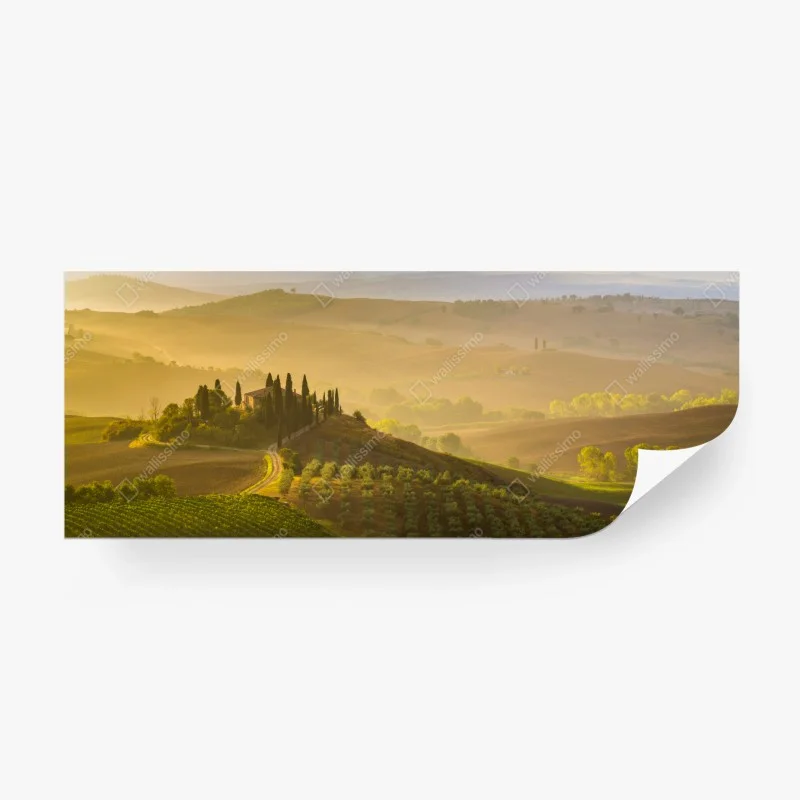 Wall mural misty morning over Val d'Orcia
