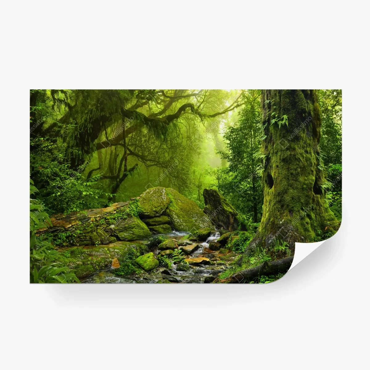 Wall mural moss-covered woodland stream ⁕ Wallissimo®