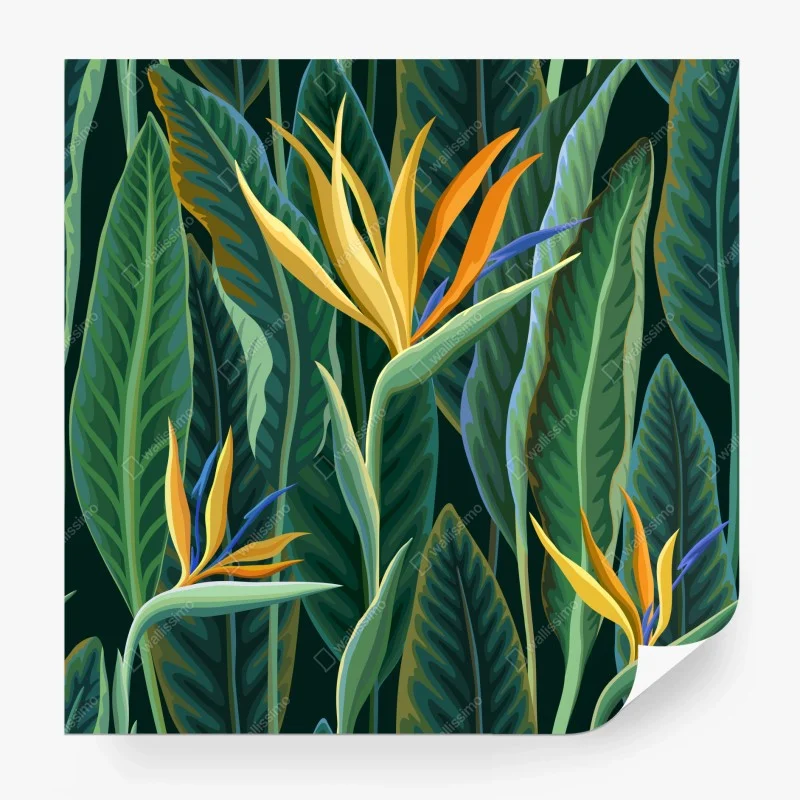 Wall mural tropical bird of paradise botanical pattern