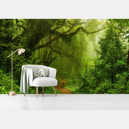 Wall mural mystical green forest trail • Wallissimo®