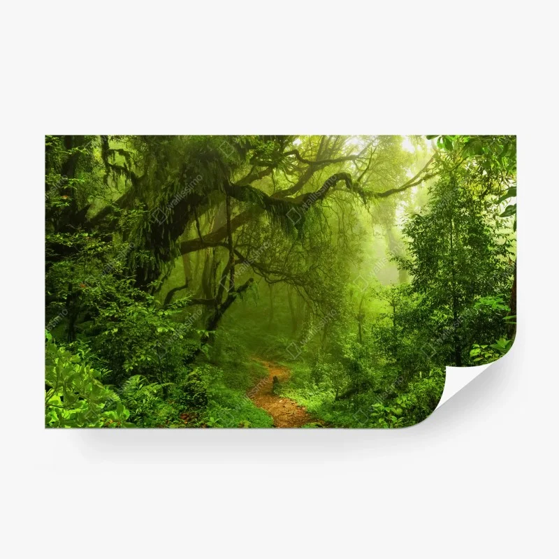 Wall mural mystical green forest trail