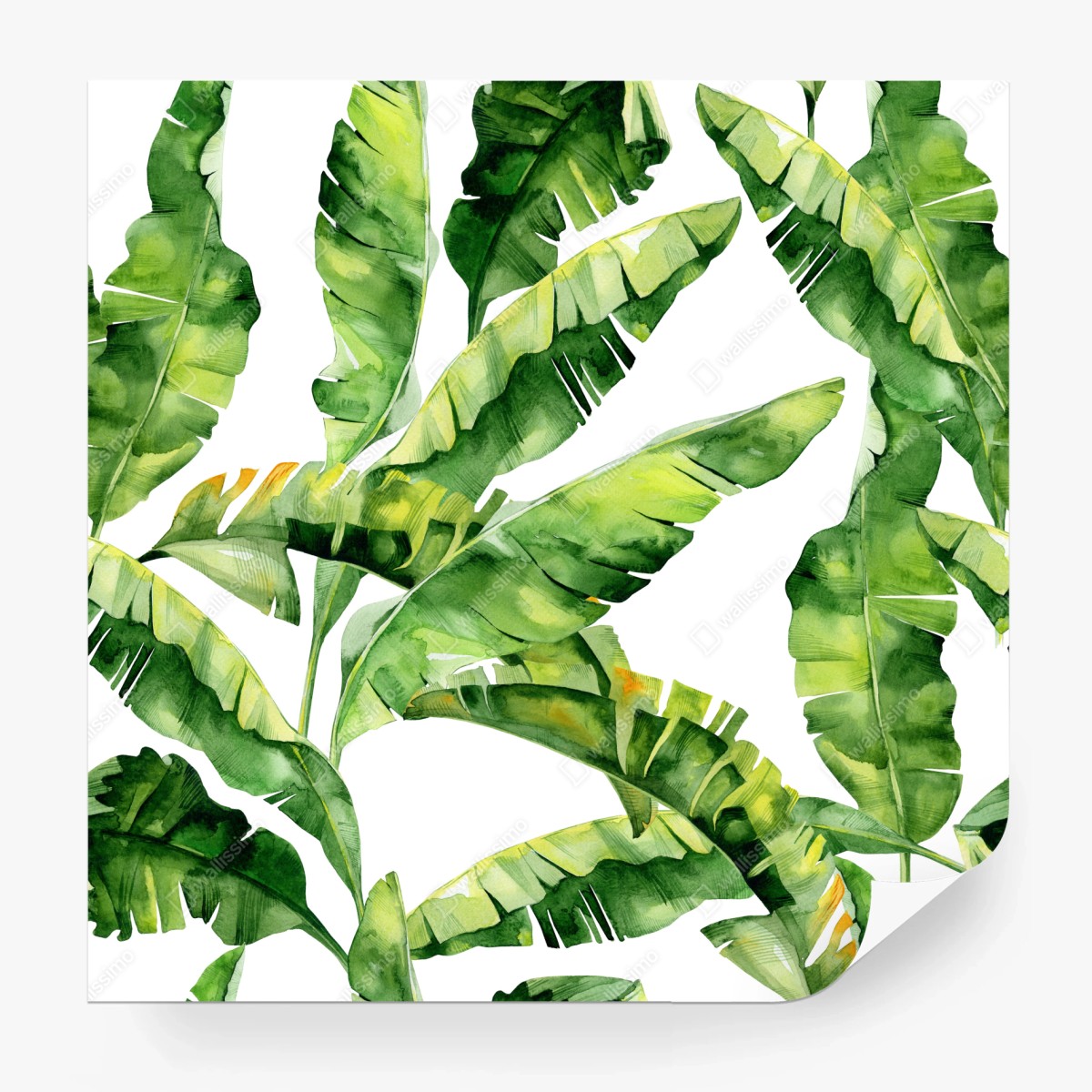 Wall mural tropical banana leaf watercolor pattern • Wallissimo®
