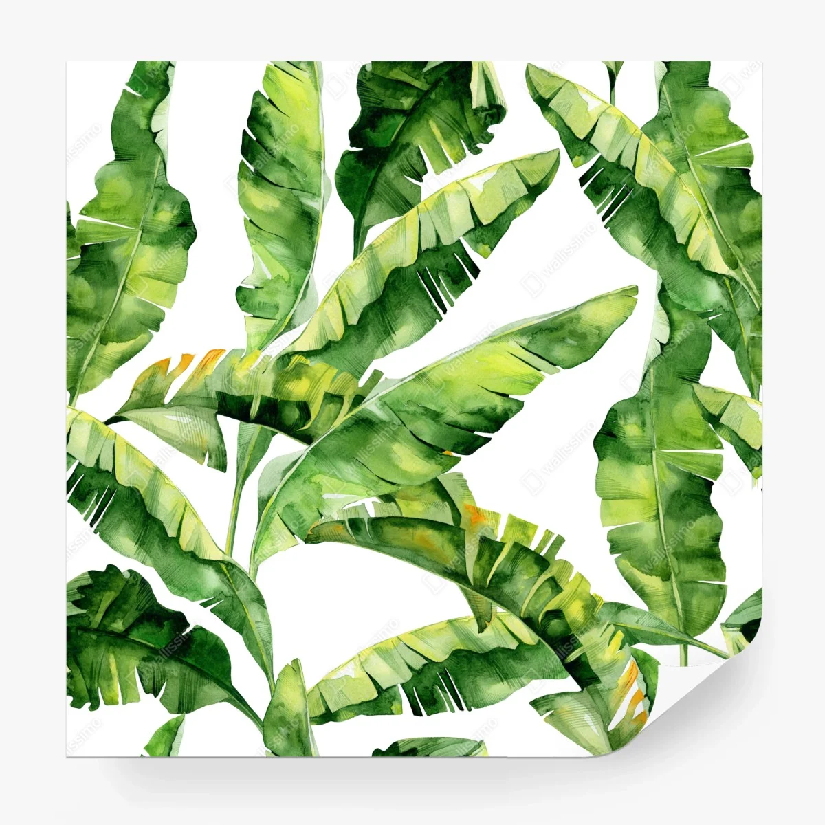 Wall mural tropical banana leaf watercolor pattern • Wallissimo® Wall mural tropical banana leaf watercolor pattern • Wallissimo®