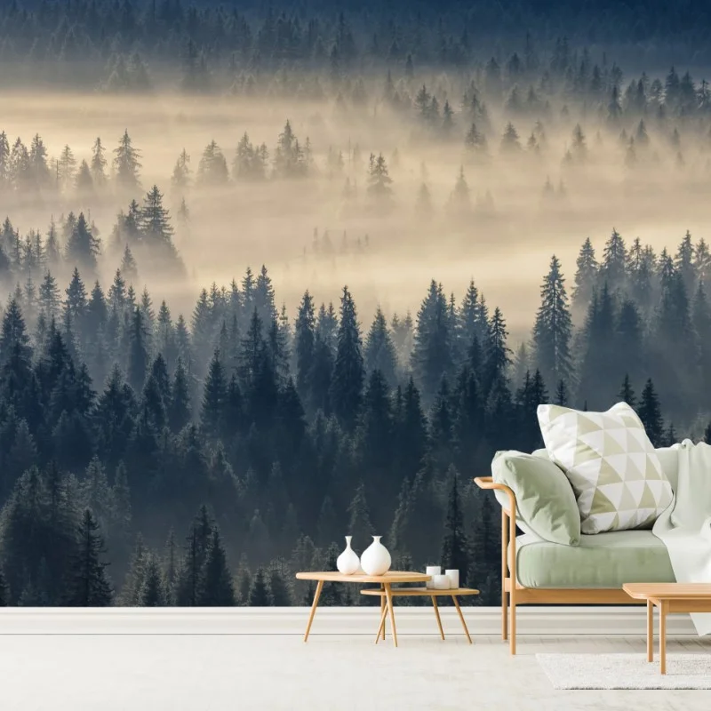 Wall mural misty spruce valley at dawn