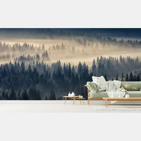 Wall mural misty spruce valley at dawn • Wallissimo®