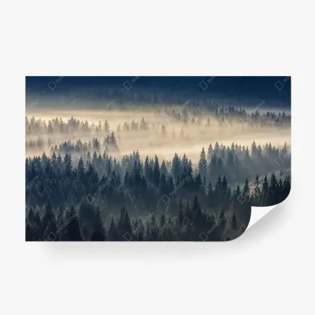 Wall mural misty spruce valley at dawn • Wallissimo®
