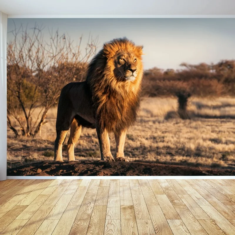 Wall mural regal lion on the savannah