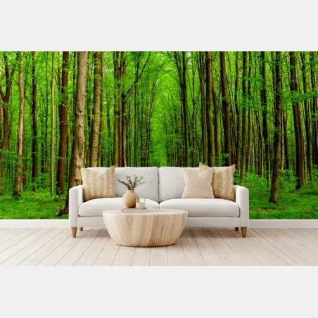 Wall mural green forest pathway in spring • Wallissimo®