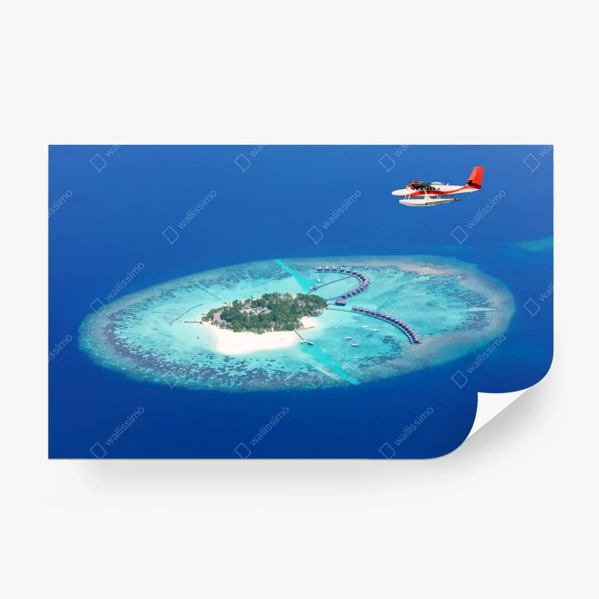 Wall mural tropical island aerial with seaplane ⁕ Wallissimo®