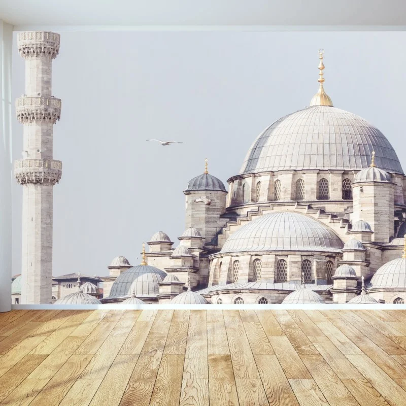 Wall mural Istanbul mosque domes in soft light