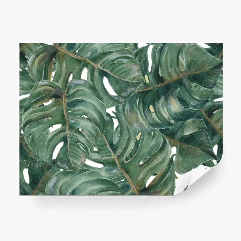 Wall mural lush monstera watercolor leaves