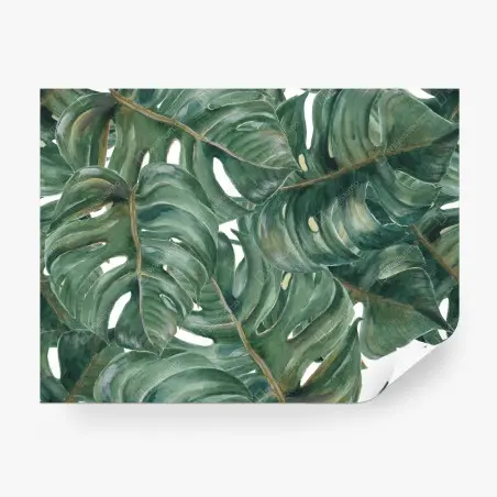 Wall mural lush monstera watercolor leaves • Wallissimo®