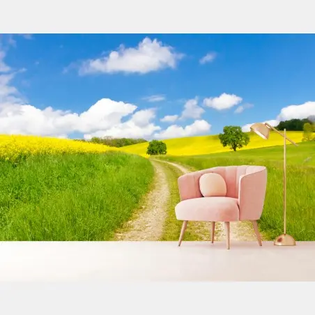 Wall mural sunny country lane through yellow fields • Wallissimo®