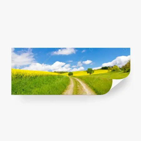 Wall mural sunny country lane through yellow fields • Wallissimo®