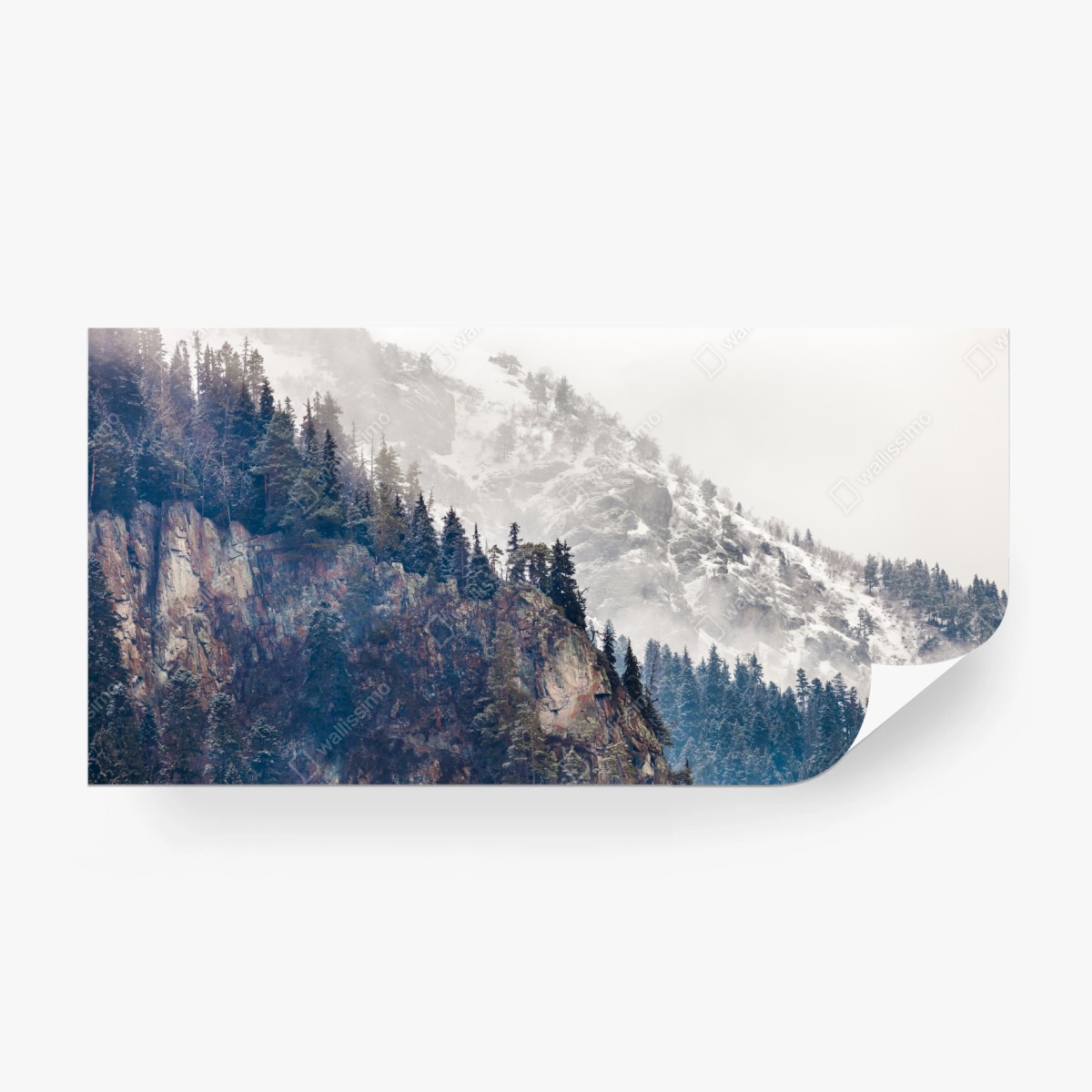 Wall mural misty mountain cliff with pine forest • Wallissimo®