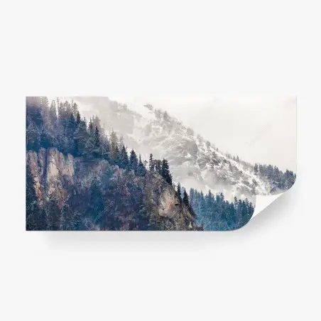 Wall mural misty mountain cliff with pine forest • Wallissimo®