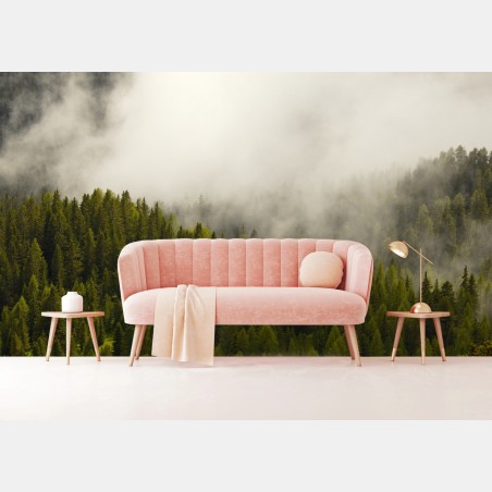 Wall mural misty evergreen forest • Wallissimo®