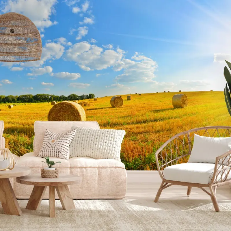 Wall mural golden hayfield under blue sky