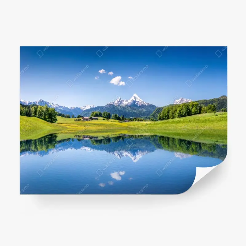 Wall mural • Wallissimo®