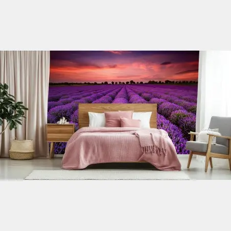 Wall mural lavender field at sunset • Wallissimo®