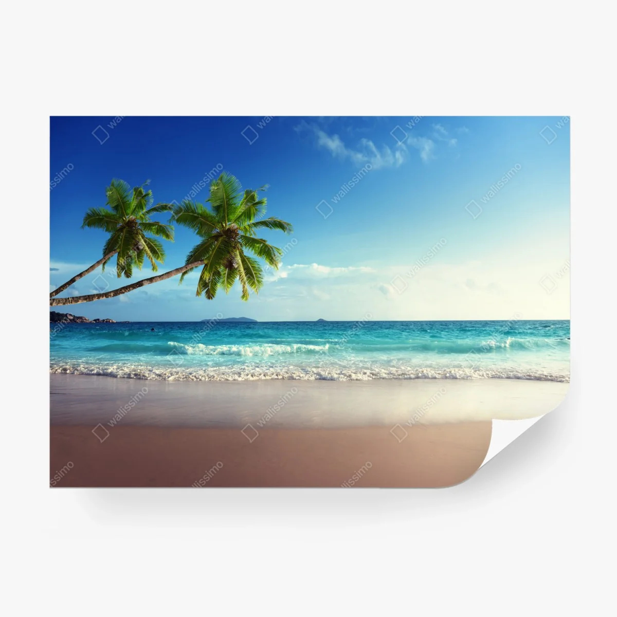 Wall mural tropical Caribbean beach at sunset • Wallissimo® Wall mural tropical Caribbean beach at sunset • Wallissimo®