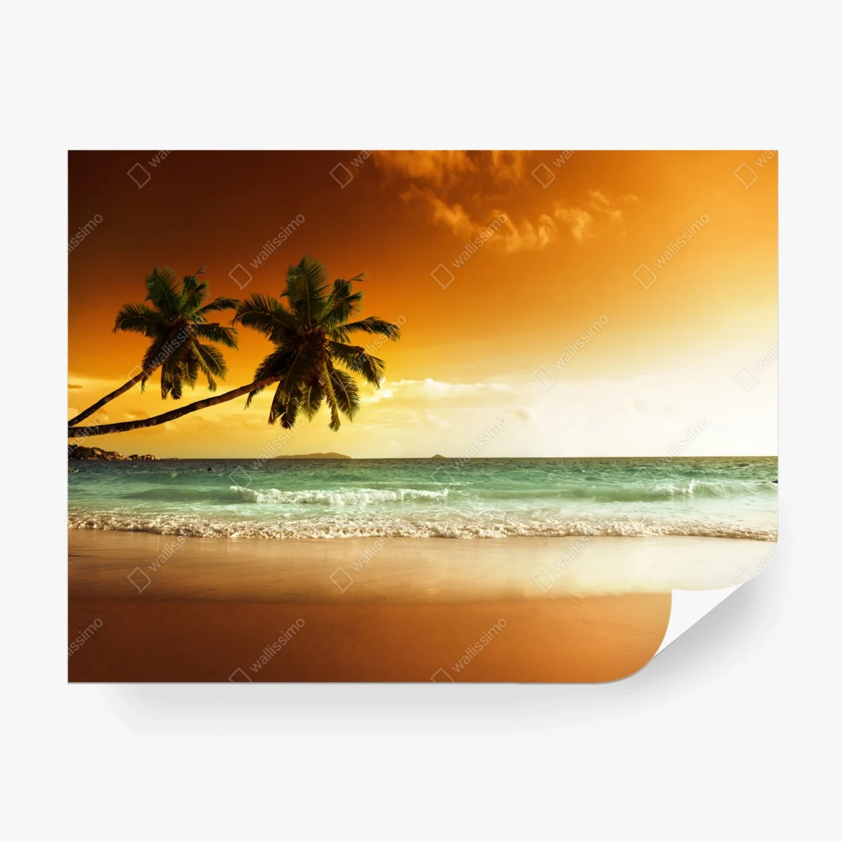Wall mural Caribbean sunset beach with palm trees • Wallissimo® Wall mural Caribbean sunset beach with palm trees • Wallissimo®