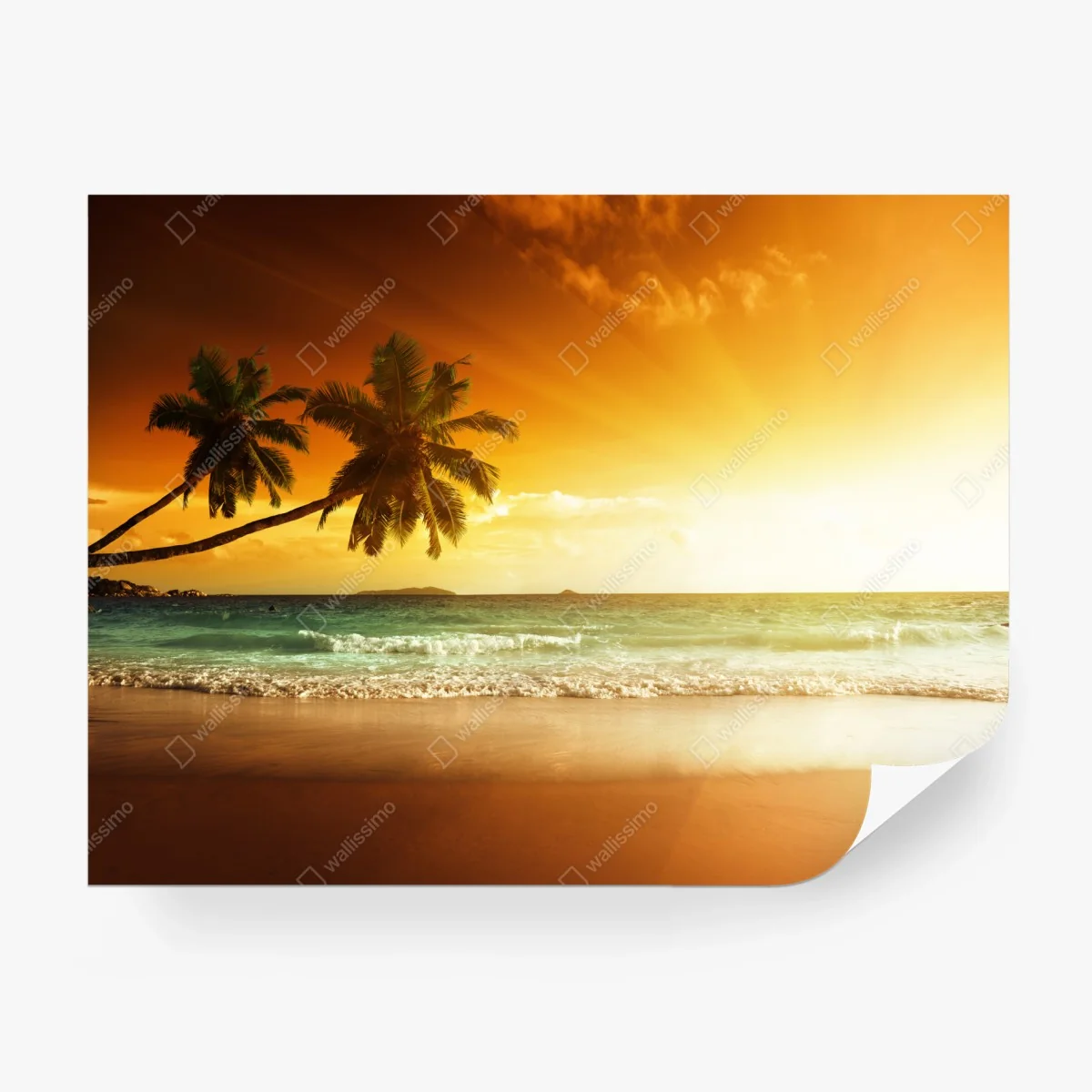 Wall mural tropical sunset over Caribbean beach • Wallissimo® Wall mural tropical sunset over Caribbean beach • Wallissimo®