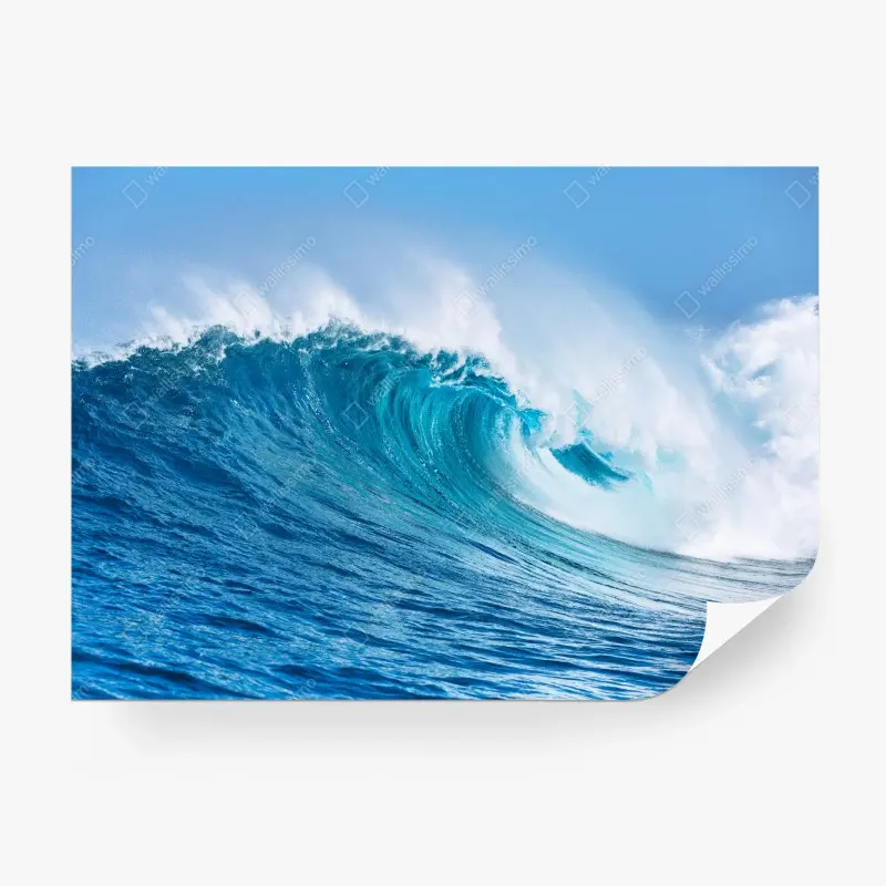 Wall mural • Wallissimo®