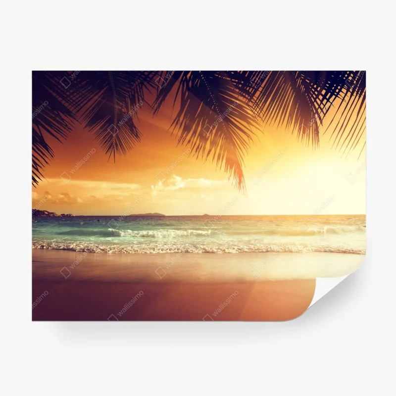 Wall mural Caribbean sunset beach at dusk