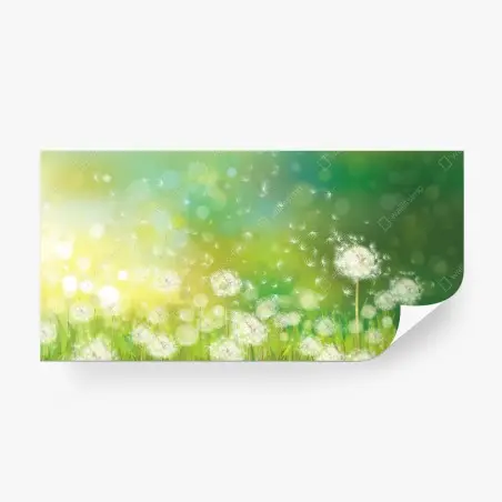 Wall mural spring dandelion meadow • Wallissimo®