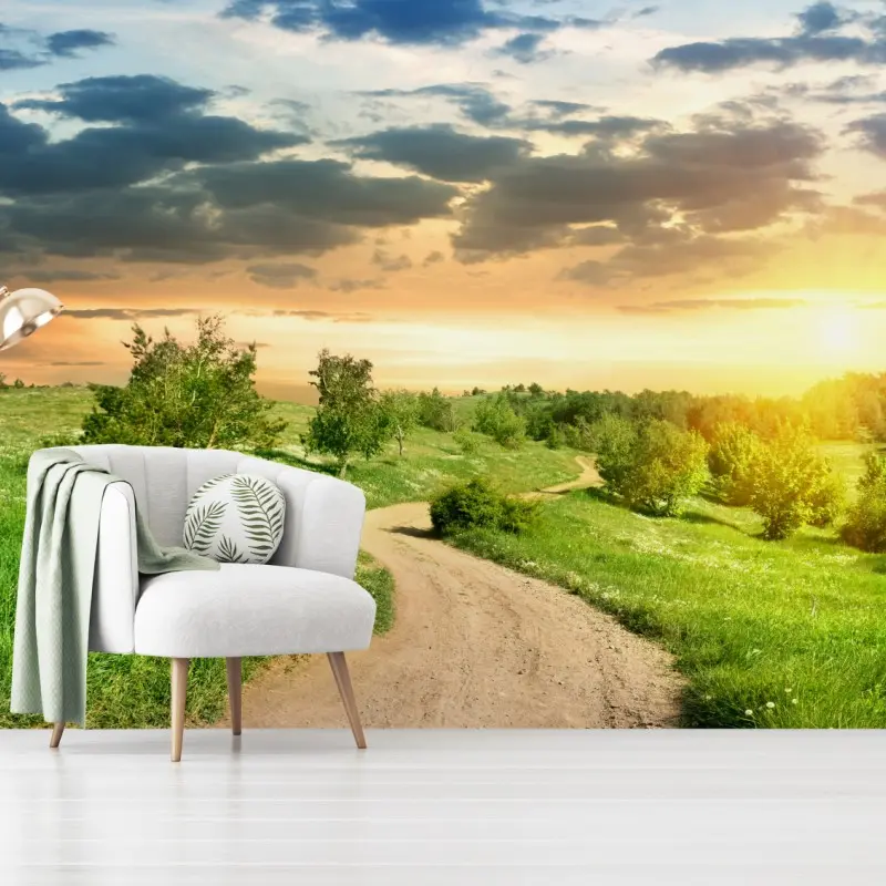 Wall mural sunset country road through green meadow