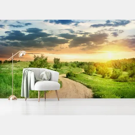Wall mural sunset country road through green meadow • Wallissimo®