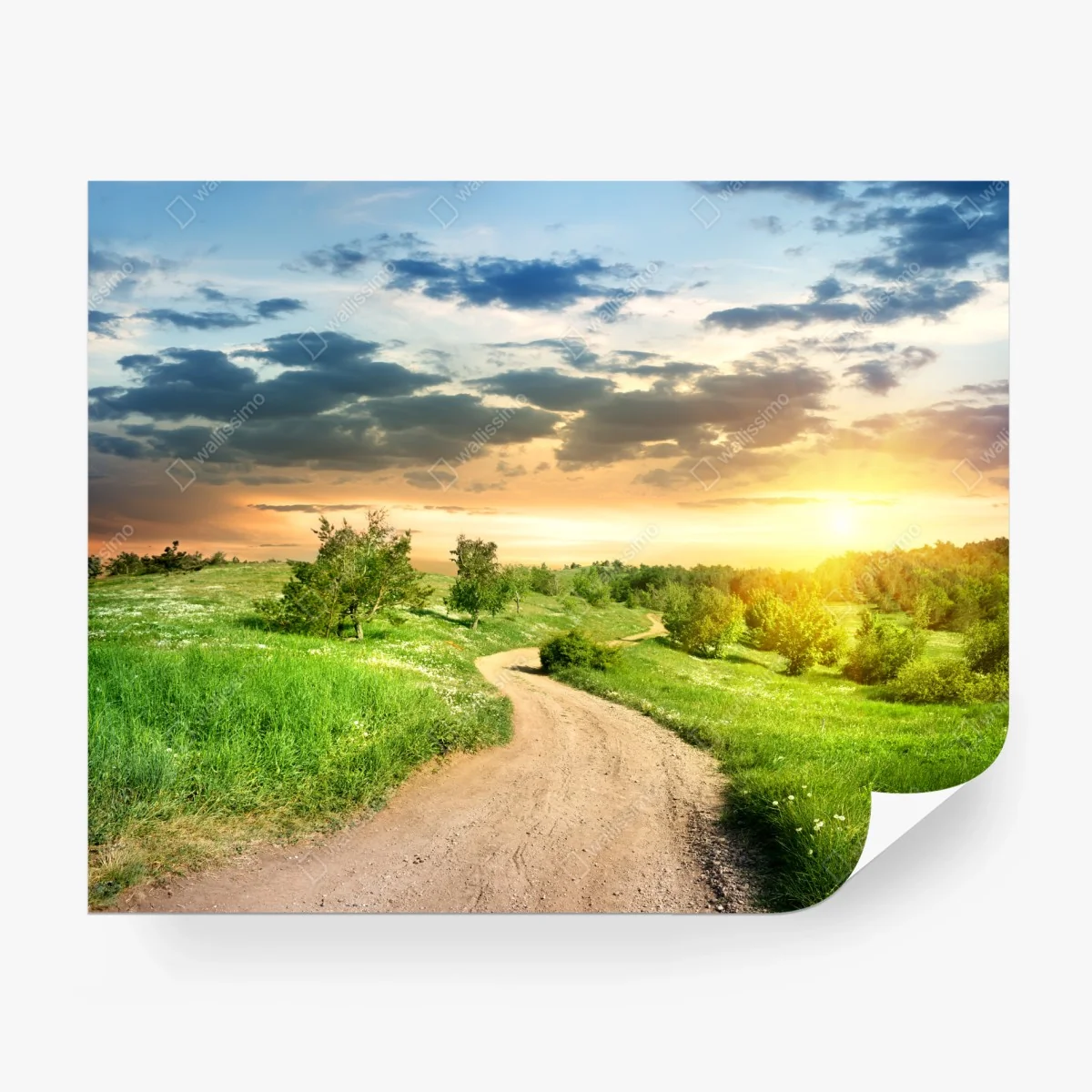 Wall mural sunset country road through green meadow • Wallissimo®