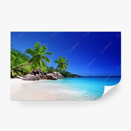Wall mural tropical turquoise beach with palm trees • Wallissimo®