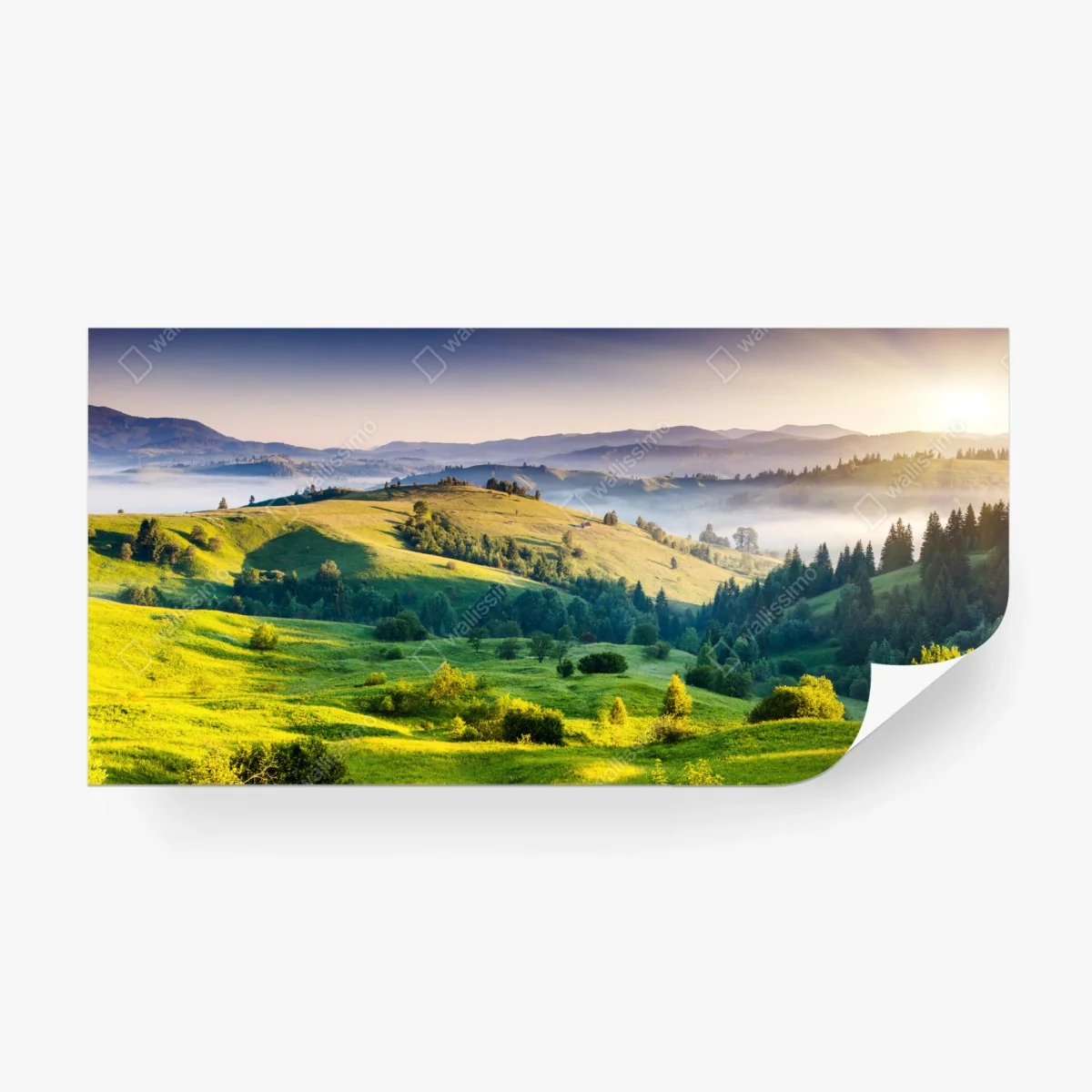 Wall mural Carpathian sunset over rolling green hills • Wallissimo®