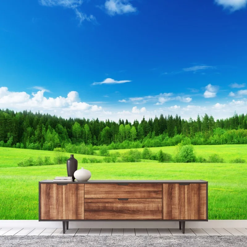 Wall mural spring meadow under a blue sky