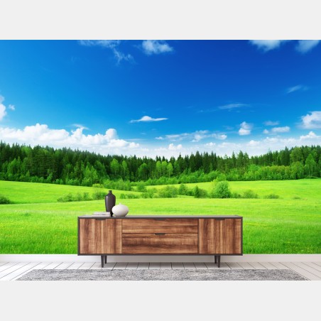Wall mural spring meadow under a blue sky • Wallissimo®