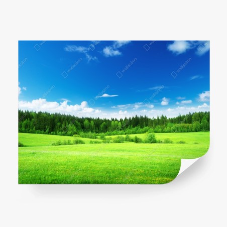 Wall mural spring meadow under a blue sky • Wallissimo®