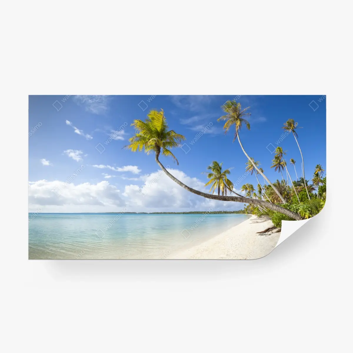 Wall mural tropical turquoise beach with leaning palm • Wallissimo®