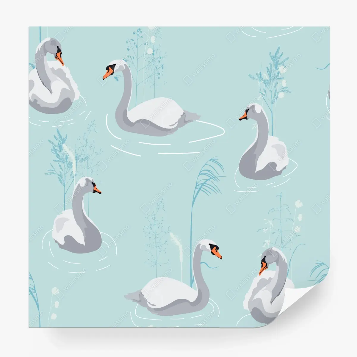 Wall mural gentle swans on a turquoise pond • Wallissimo®