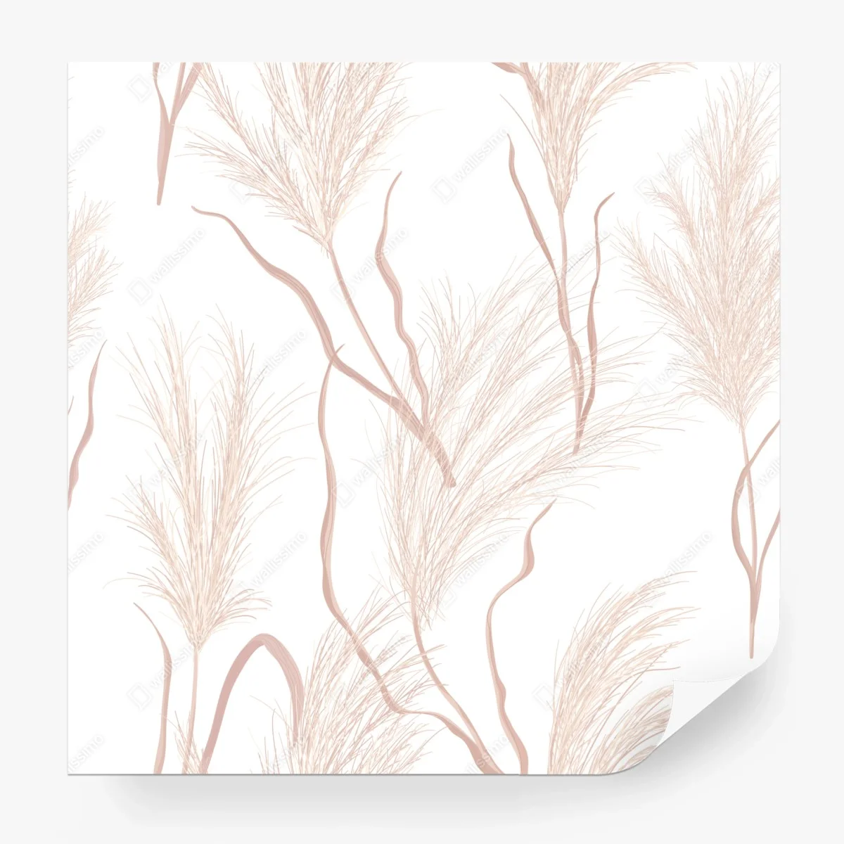 Wall mural soft pampas grass pattern ⁕ Wallissimo® Wall mural soft pampas grass pattern ⁕ Wallissimo®