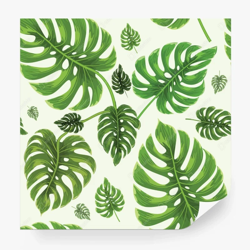 Wall mural tropical monstera leaf pattern