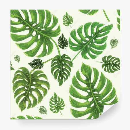 Wall mural tropical monstera leaf pattern • Wallissimo®