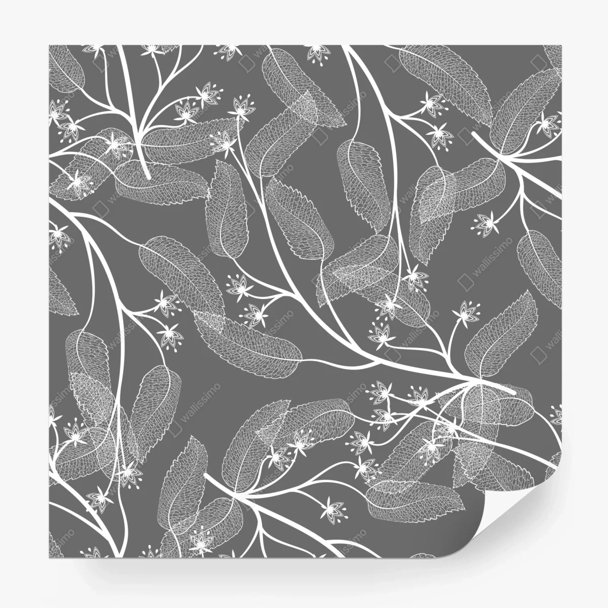 Wall mural delicate white leaves on gray background ⁕ Wallissimo® Wall mural delicate white leaves on gray background ⁕ Wallissimo®